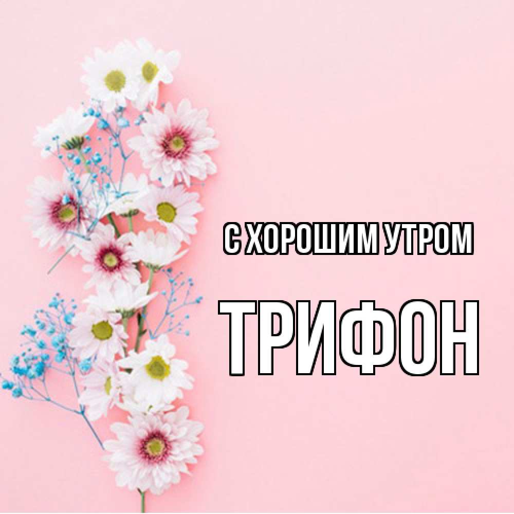 Открытка на каждый день с именем, Трифон С хорошим утром цветы с подписью Прикольная открытка с пожеланием онлайн скачать бесплатно 