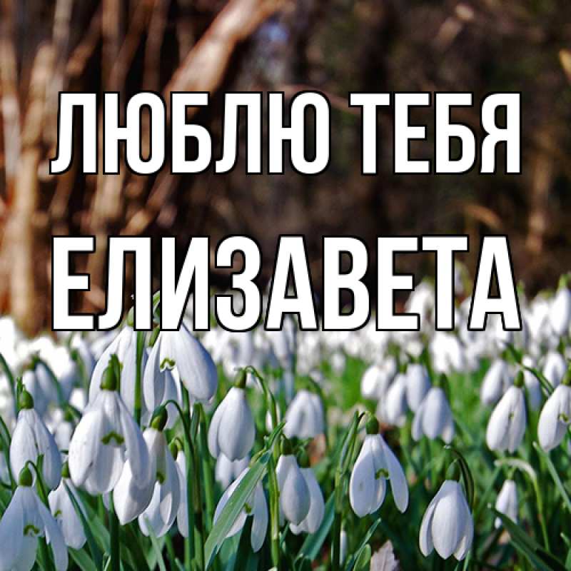 Открытка с именем, Елизавета, Люблю тебя