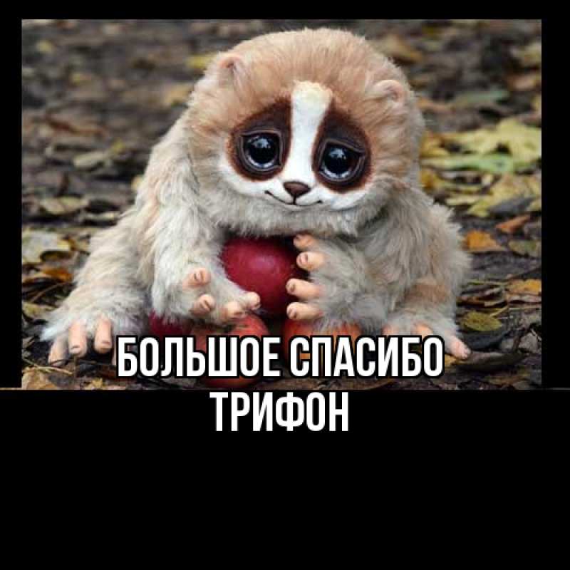 Картинка Большое спасибо, Трифон