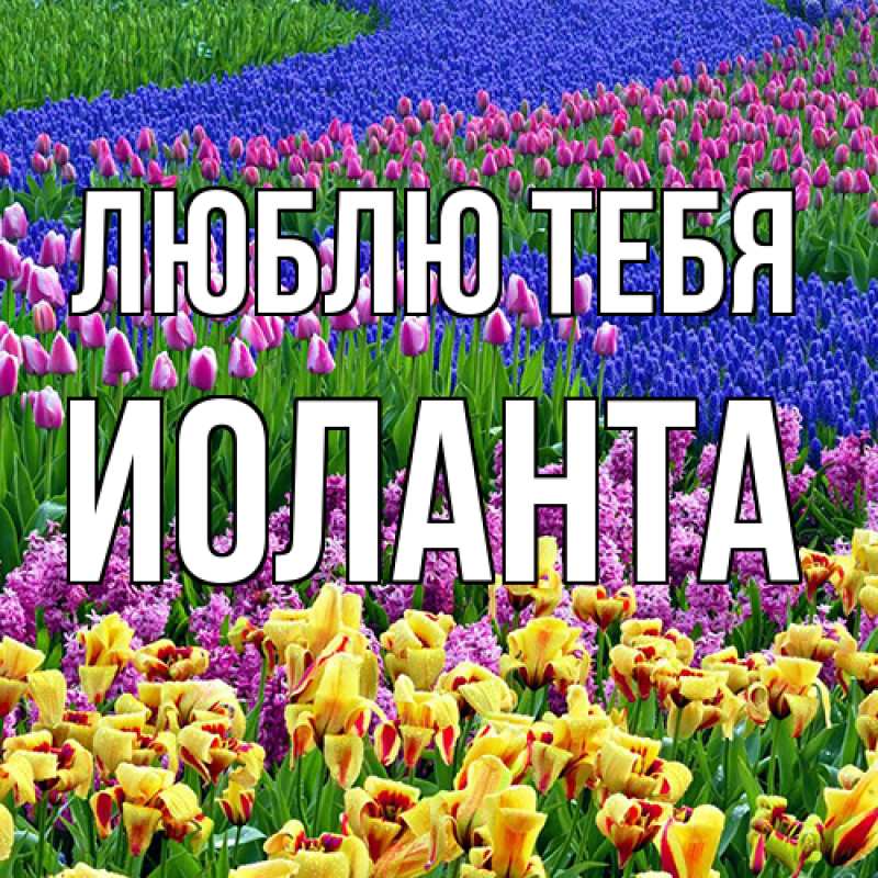 Картинка Люблю тебя, Иоланта