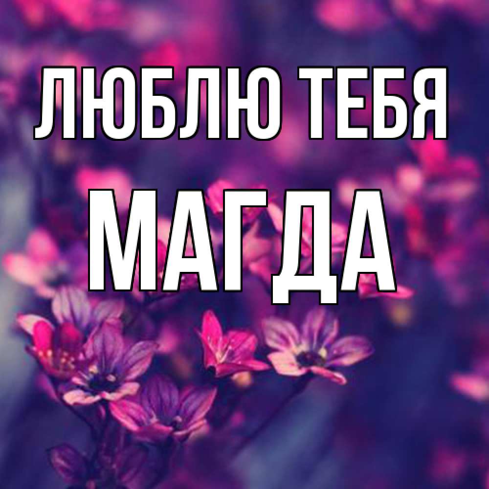 Открытка на каждый день с именем, Магда Люблю тебя небольшие цветы 1 Прикольная открытка с пожеланием онлайн скачать бесплатно 