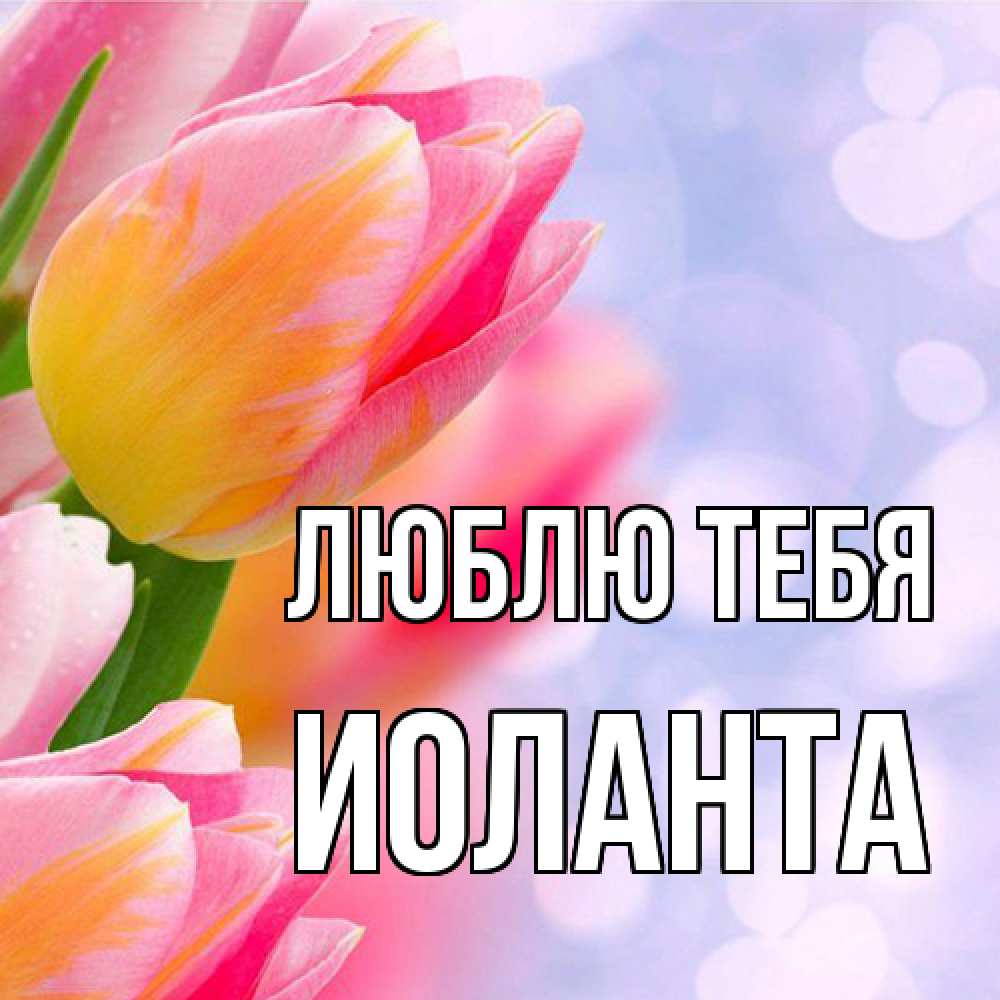 Открытка на каждый день с именем, Иоланта Люблю тебя тюльпаны 2 Прикольная открытка с пожеланием онлайн скачать бесплатно 