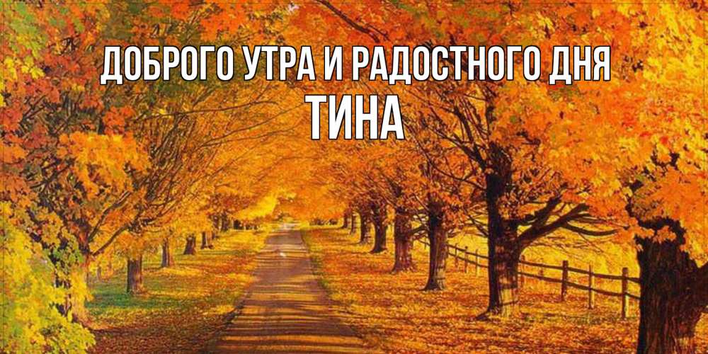 Открытка на каждый день с именем, Тина Доброго утра и радостного дня деревья с осенними листьями Прикольная открытка с пожеланием онлайн скачать бесплатно 