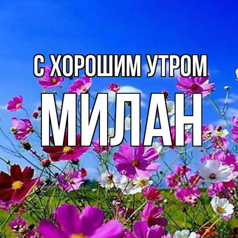 Картинка С хорошим утром, Милан