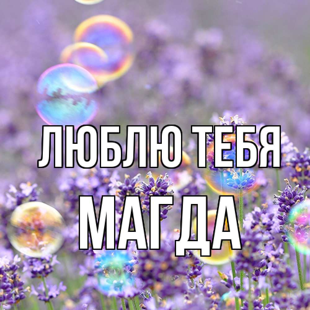 Открытка на каждый день с именем, Магда Люблю тебя цветы Прикольная открытка с пожеланием онлайн скачать бесплатно 