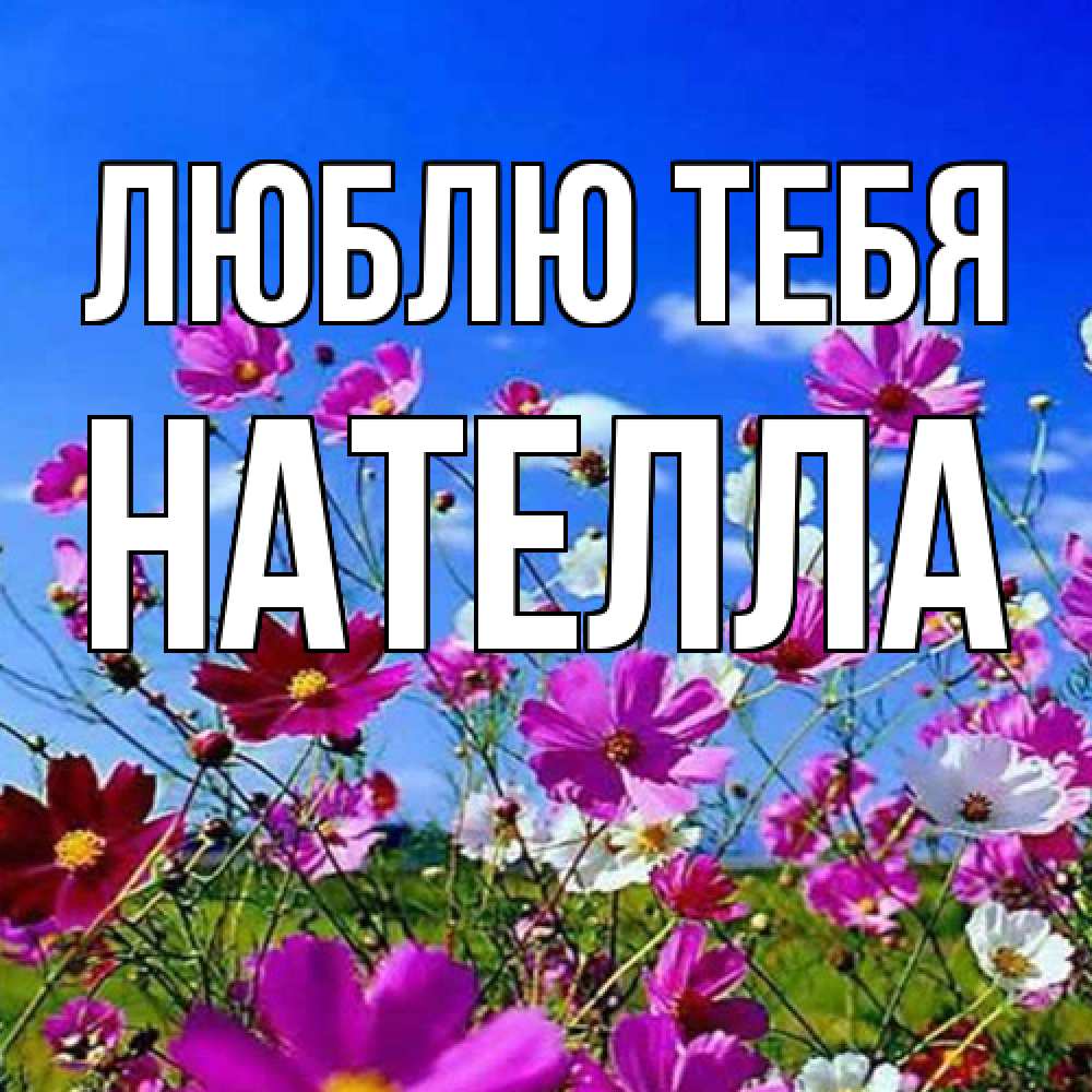 Открытка на каждый день с именем, Нателла Люблю тебя цветы Прикольная открытка с пожеланием онлайн скачать бесплатно 