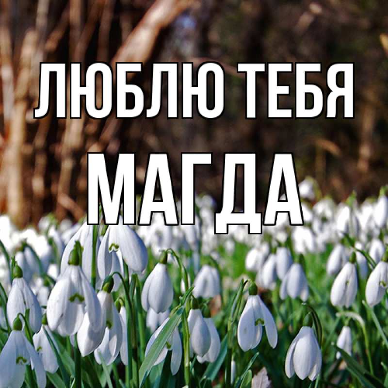 Картинка Люблю тебя, Магда