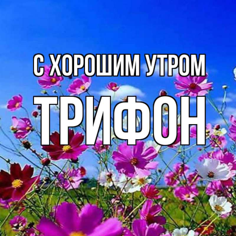 Картинка С хорошим утром, Трифон