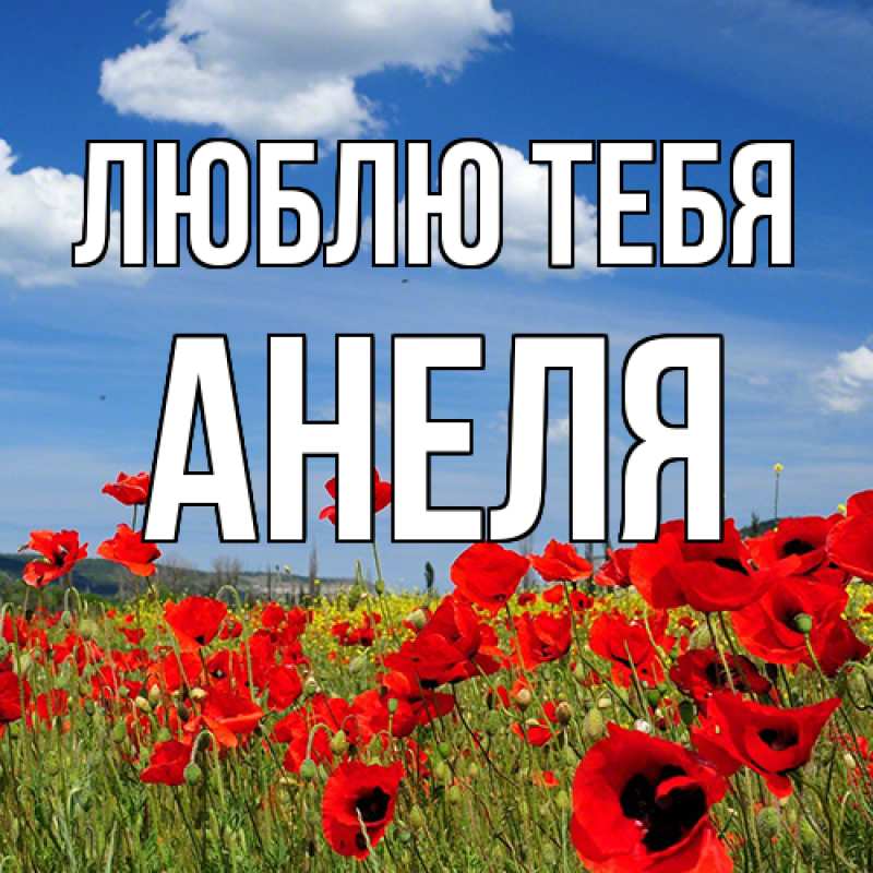 Картинка Люблю тебя, Анеля