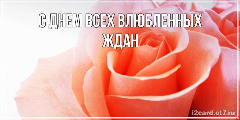 Картинка С днем всех влюбленных, Ждан