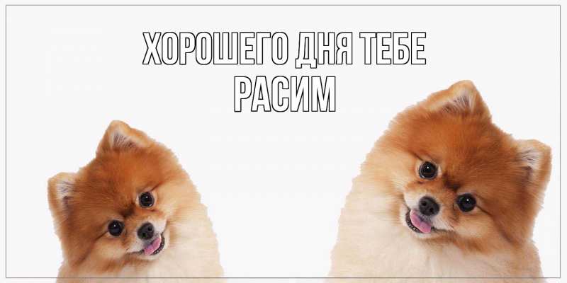 Картинка Хорошего дня тебе, Расим