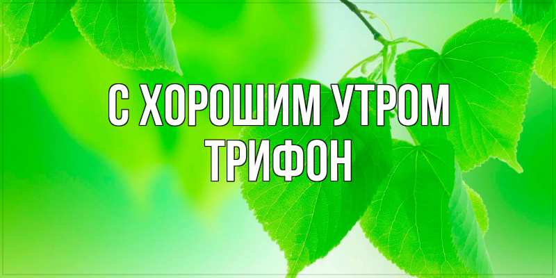 Картинка С хорошим утром, Трифон