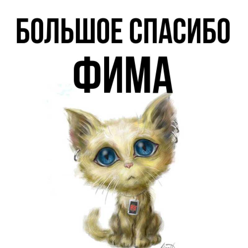 Картинка Большое спасибо, Фима
