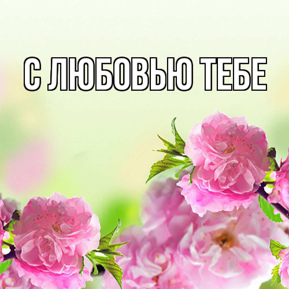 Открытка на каждый день с именем, Жан Люблю тебя цветы Прикольная открытка с пожеланием онлайн скачать бесплатно 