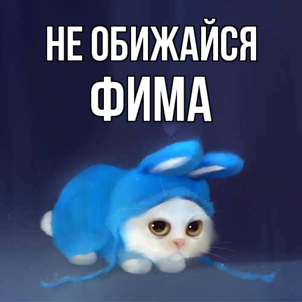 Открытка на каждый день с именем, Фима Не обижайся невинный котозай просит прощения Прикольная открытка с пожеланием онлайн скачать бесплатно 