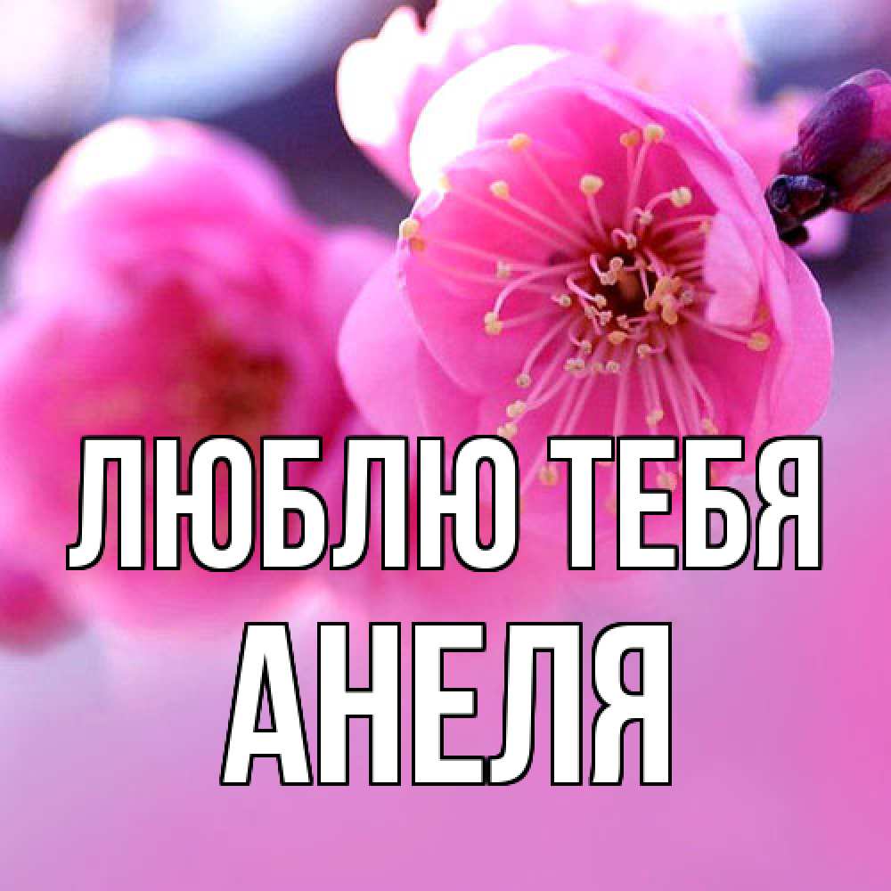 Открытка на каждый день с именем, Анеля Люблю тебя международный женский день Прикольная открытка с пожеланием онлайн скачать бесплатно 