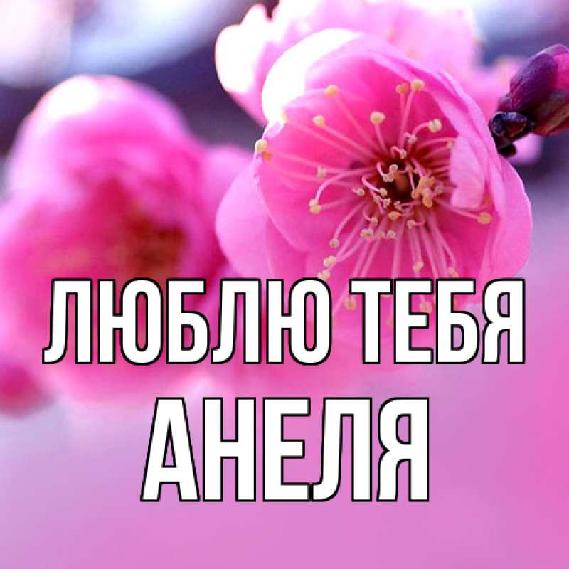 Картинка Люблю тебя, Анеля