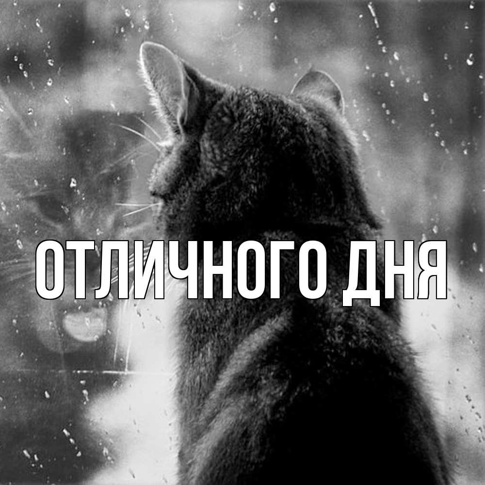 Открытка на каждый день с именем, Леся Скучашки скорее ко мне приходи 1 Прикольная открытка с пожеланием онлайн скачать бесплатно 