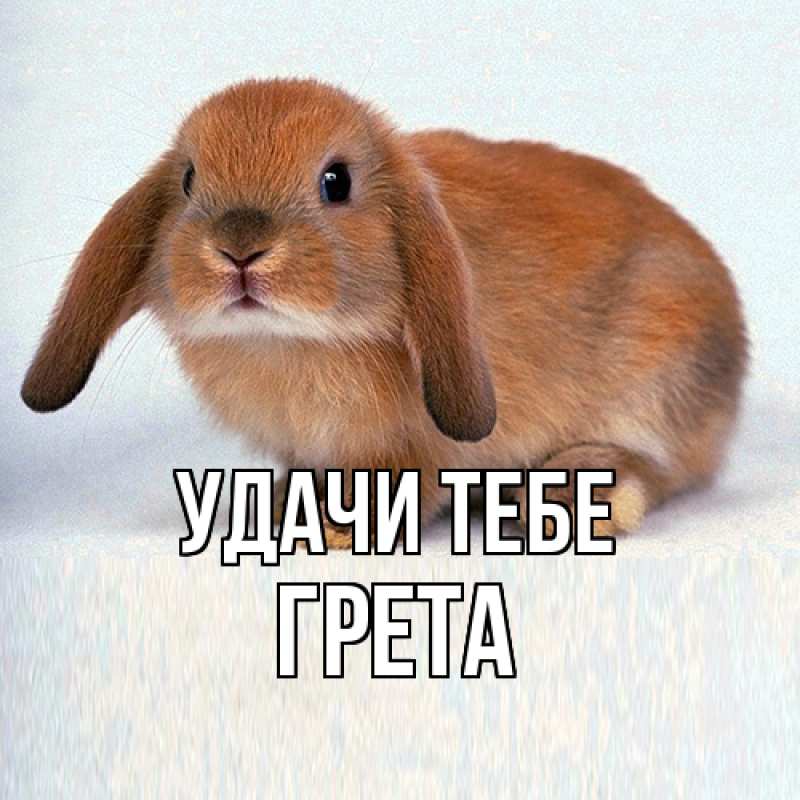 Картинка Удачи тебе, Грета