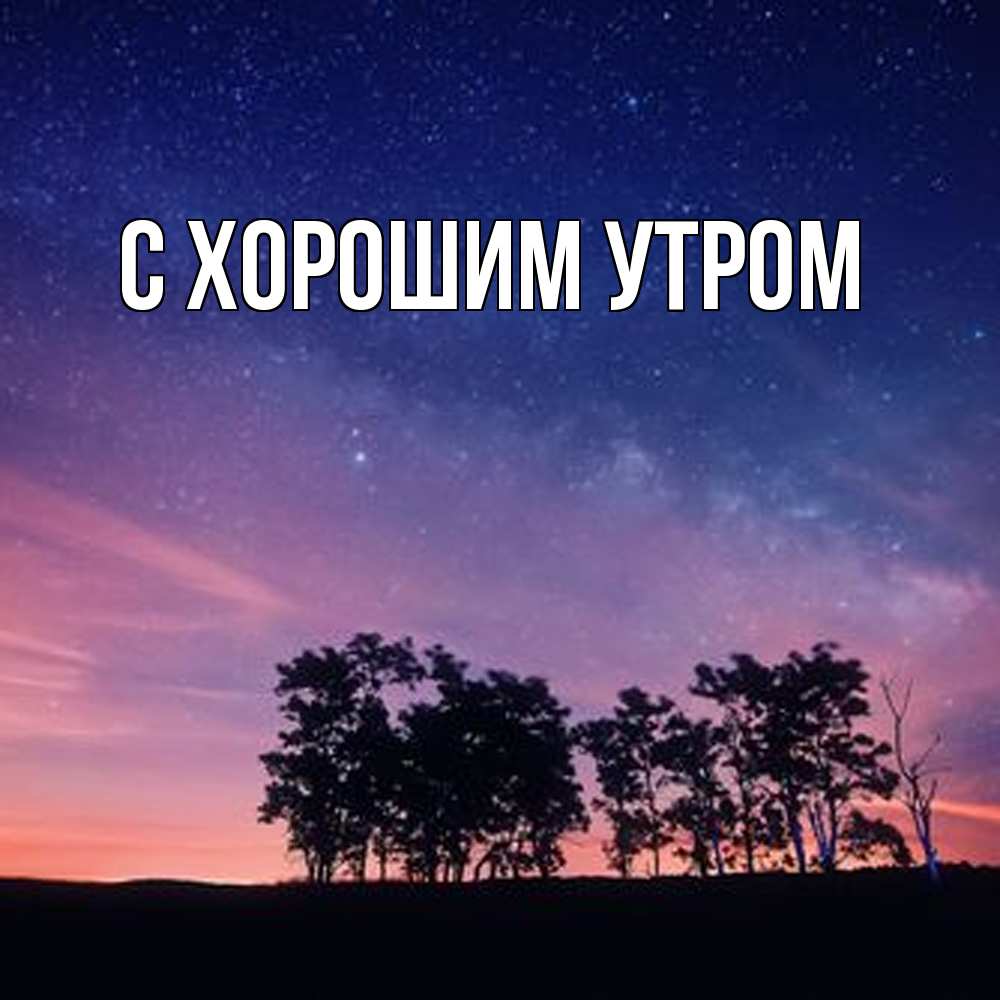 Открытка на каждый день с именем, Слава Обнимашки силуэты деревьев Прикольная открытка с пожеланием онлайн скачать бесплатно 