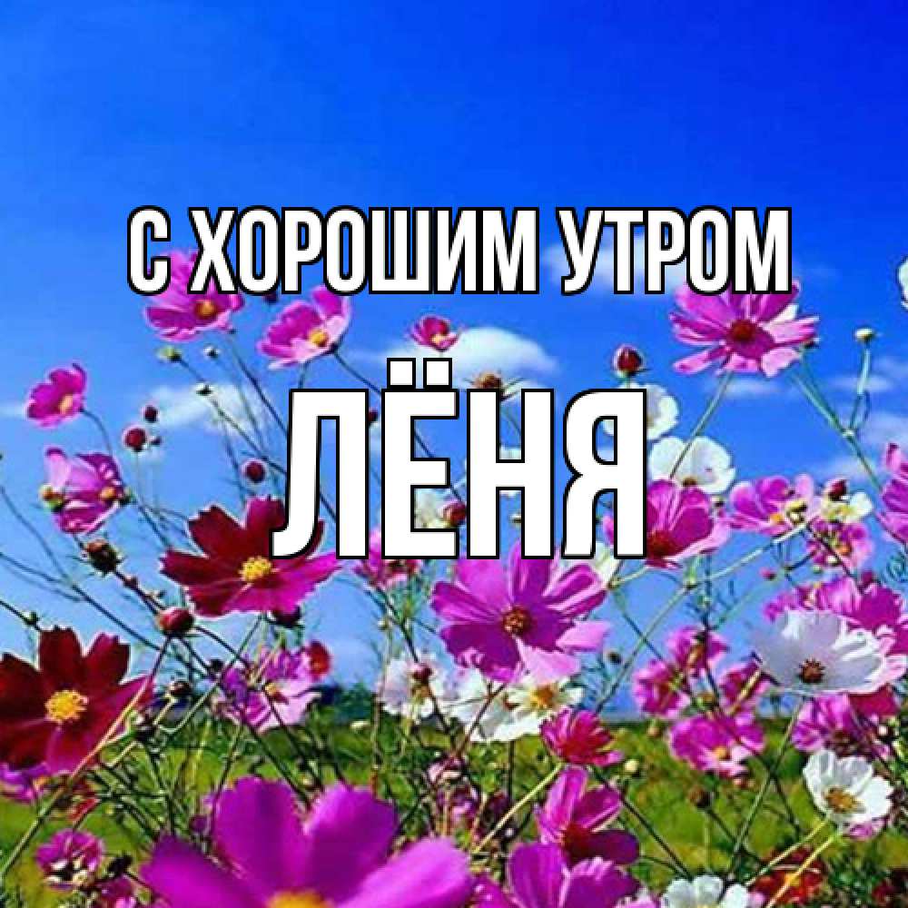 Открытка на каждый день с именем, Лёня С хорошим утром сиреневые цветы Прикольная открытка с пожеланием онлайн скачать бесплатно 