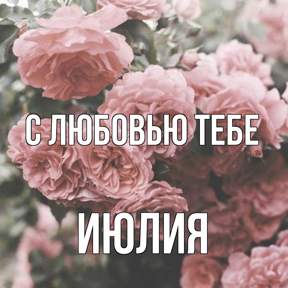 Открытка на каждый день с именем, Июлия С любовью тебе розы 3 Прикольная открытка с пожеланием онлайн скачать бесплатно 