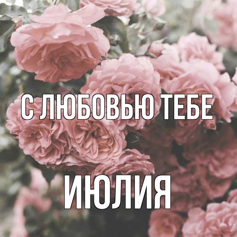 Картинка С любовью тебе, Июлия