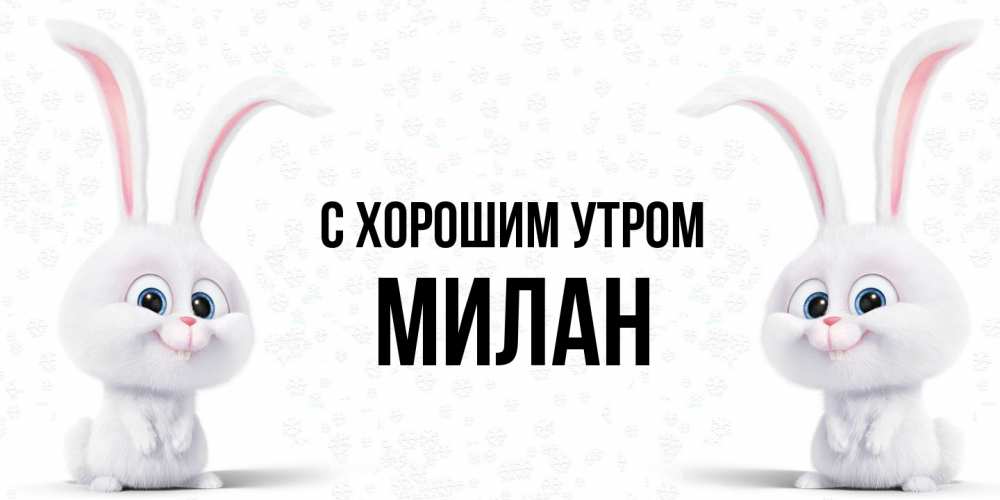Открытка на каждый день с именем, Милан С хорошим утром кролики с длинными ушками Прикольная открытка с пожеланием онлайн скачать бесплатно 