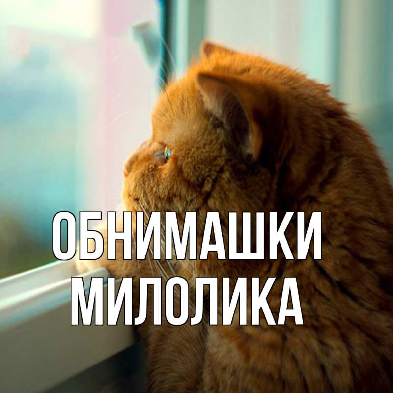 Картинка Обнимашки, Милолика