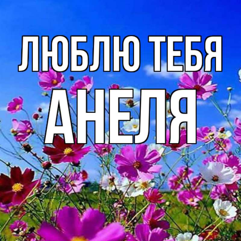 Картинка Люблю тебя, Анеля