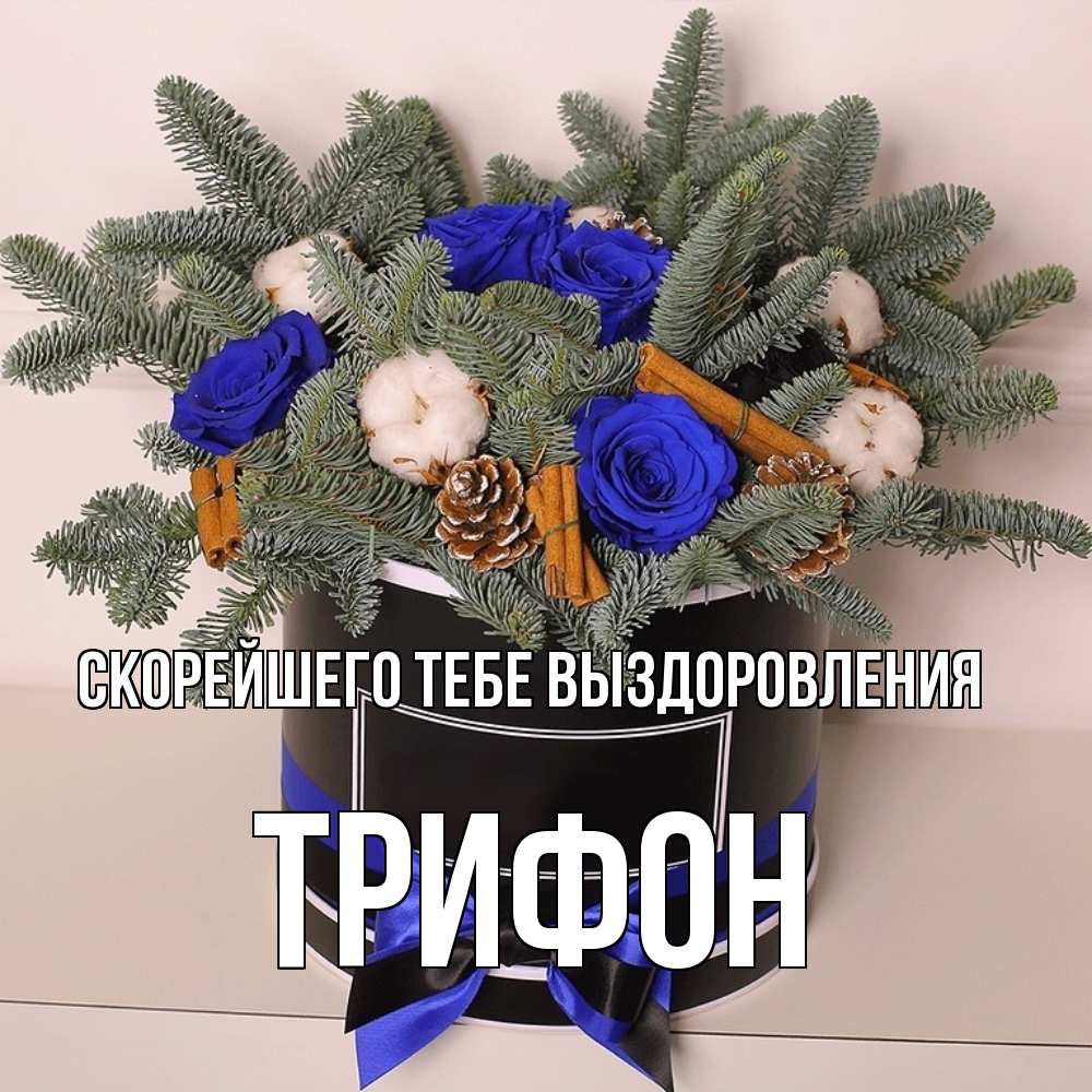 Открытка на каждый день с именем, Трифон Скорейшего тебе выздоровления короче кто то загрузил эти шишки Прикольная открытка с пожеланием онлайн скачать бесплатно 