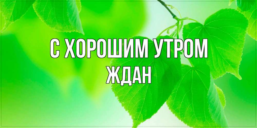 Открытка на каждый день с именем, Ждан С хорошим утром доброе утро с березовыми листьями Прикольная открытка с пожеланием онлайн скачать бесплатно 