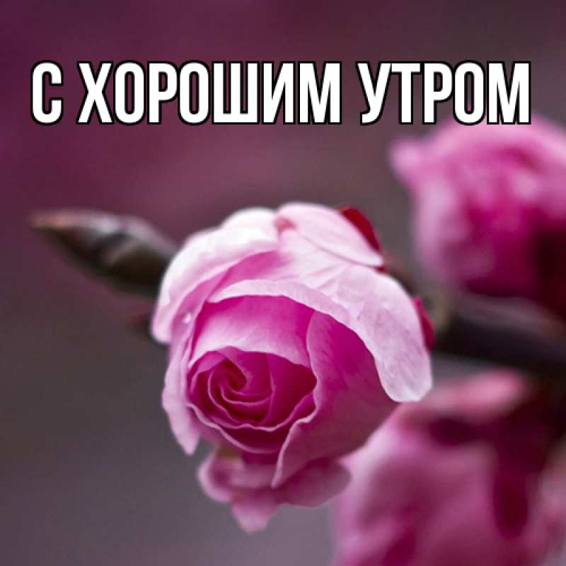 Картинка Люблю тебя, Иван