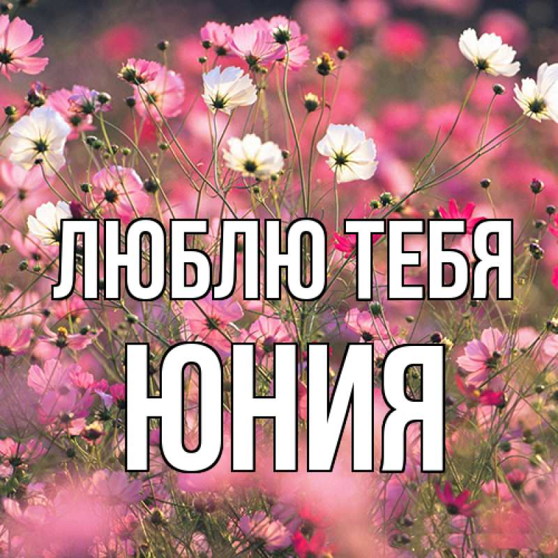 Картинка Люблю тебя, Юния