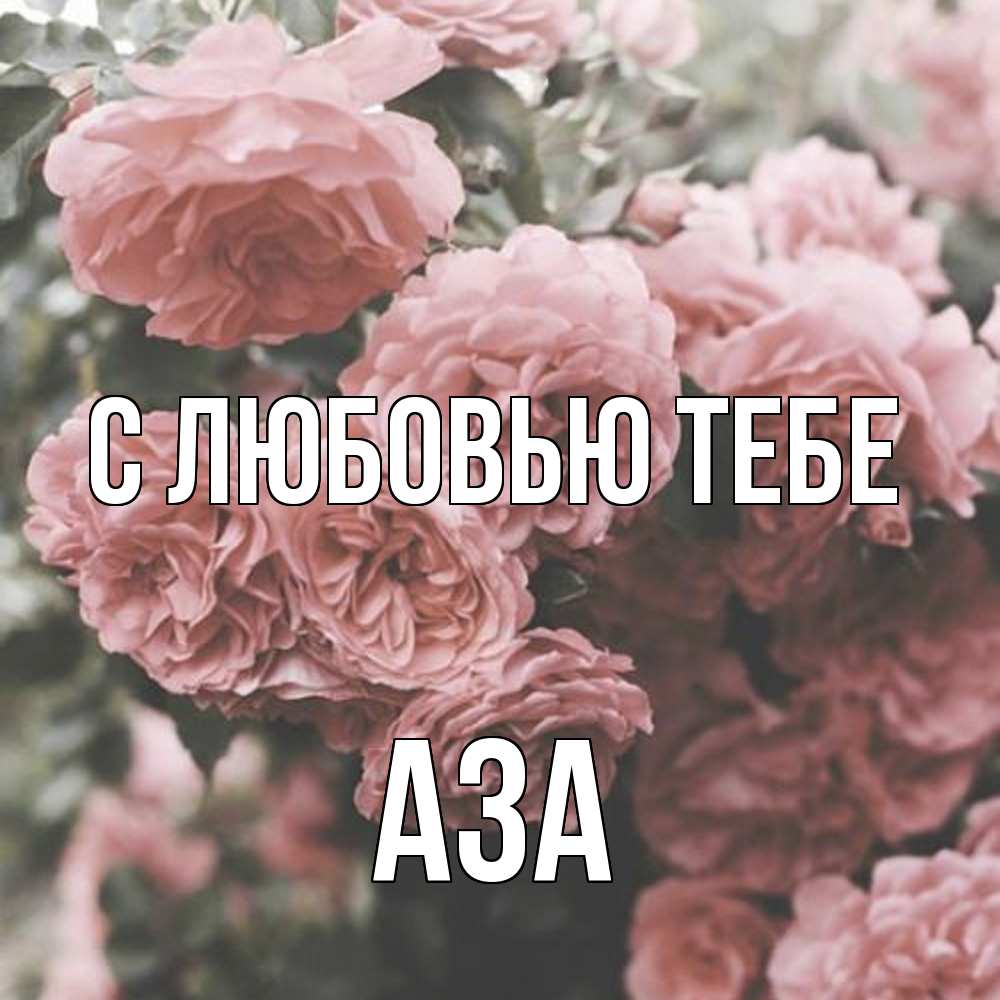 Открытка на каждый день с именем, Аза С любовью тебе розы 3 Прикольная открытка с пожеланием онлайн скачать бесплатно 