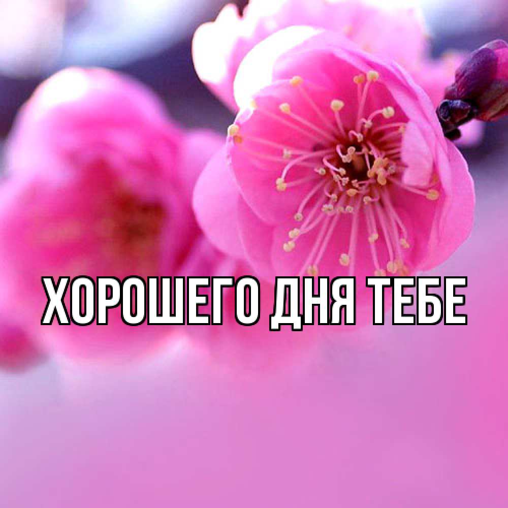 Открытка на каждый день с именем, Измаил Люблю тебя международный женский день Прикольная открытка с пожеланием онлайн скачать бесплатно 