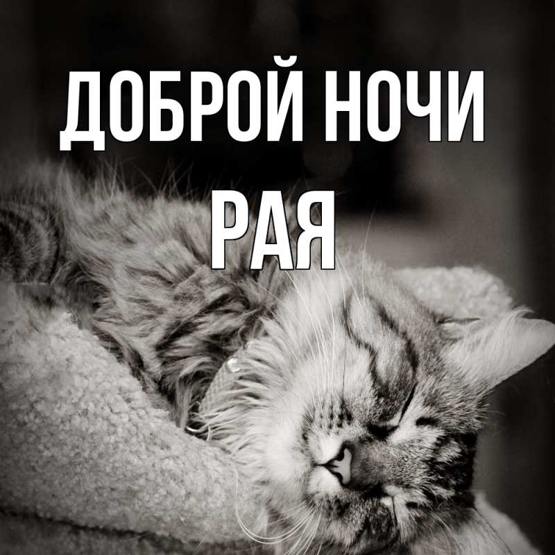 Открытка с именем, Рая, Доброй ночи
