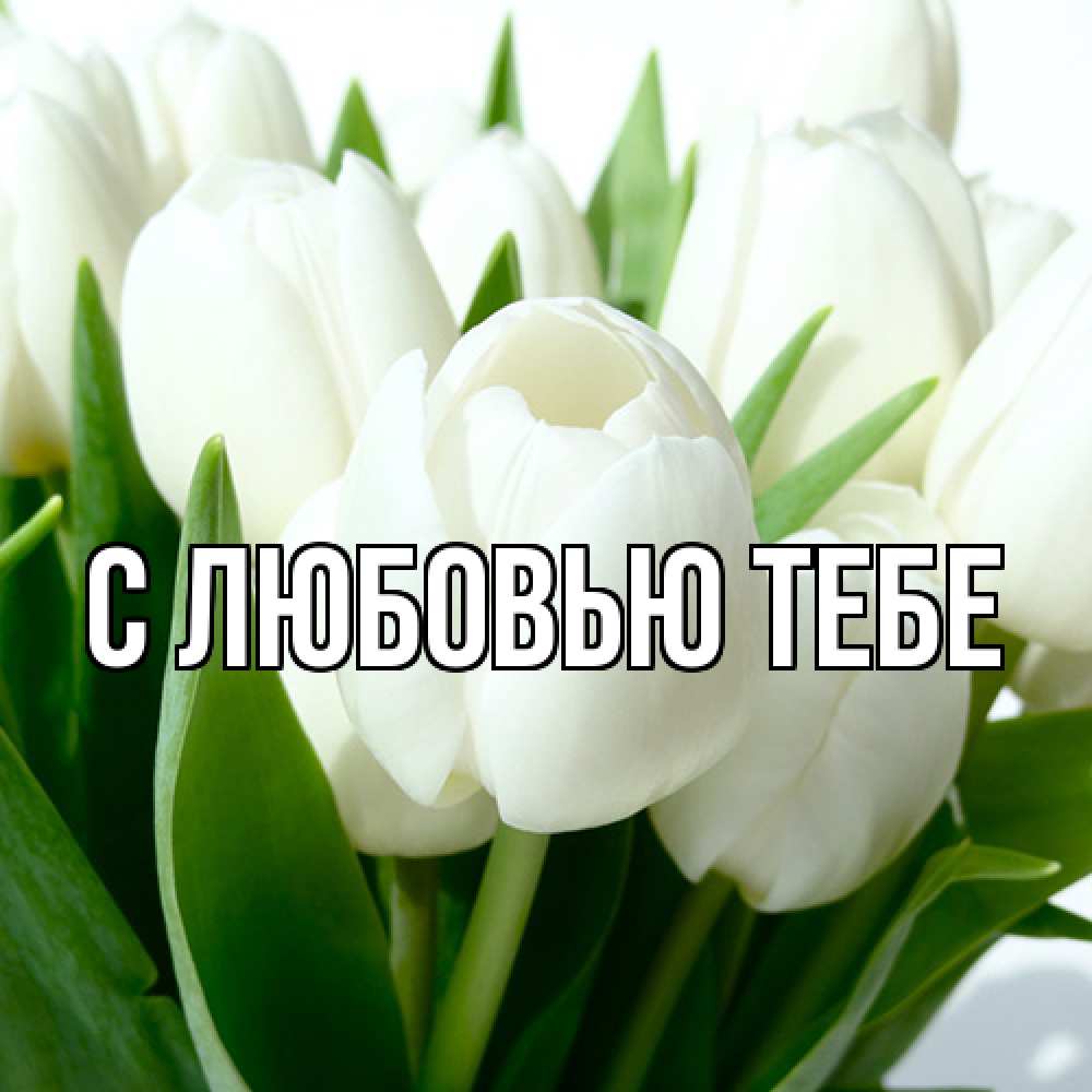 Открытка на каждый день с именем, Аза Люблю тебя цветы Прикольная открытка с пожеланием онлайн скачать бесплатно 