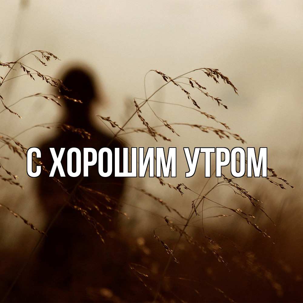 Открытка на каждый день с именем, Дилара Скучашки силуэт девушки Прикольная открытка с пожеланием онлайн скачать бесплатно 