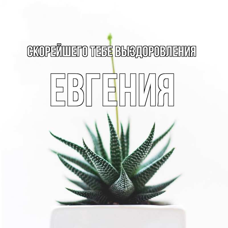 Картинка Скорейшего тебе выздоровления, Евгения