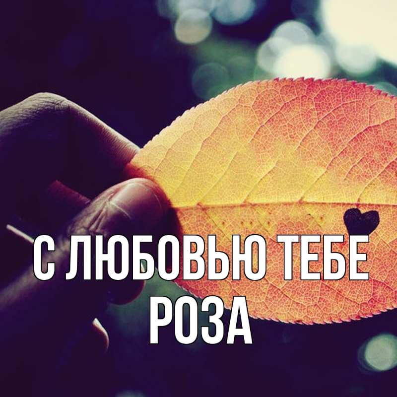 Картинка С любовью тебе, Роза
