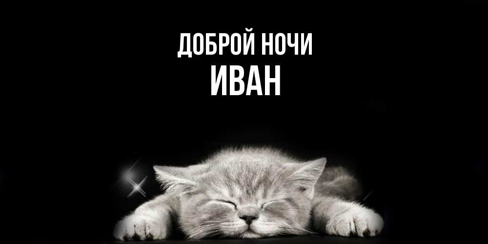 Открытка на каждый день с именем, Иван Доброй ночи спящий котик Прикольная открытка с пожеланием онлайн скачать бесплатно 