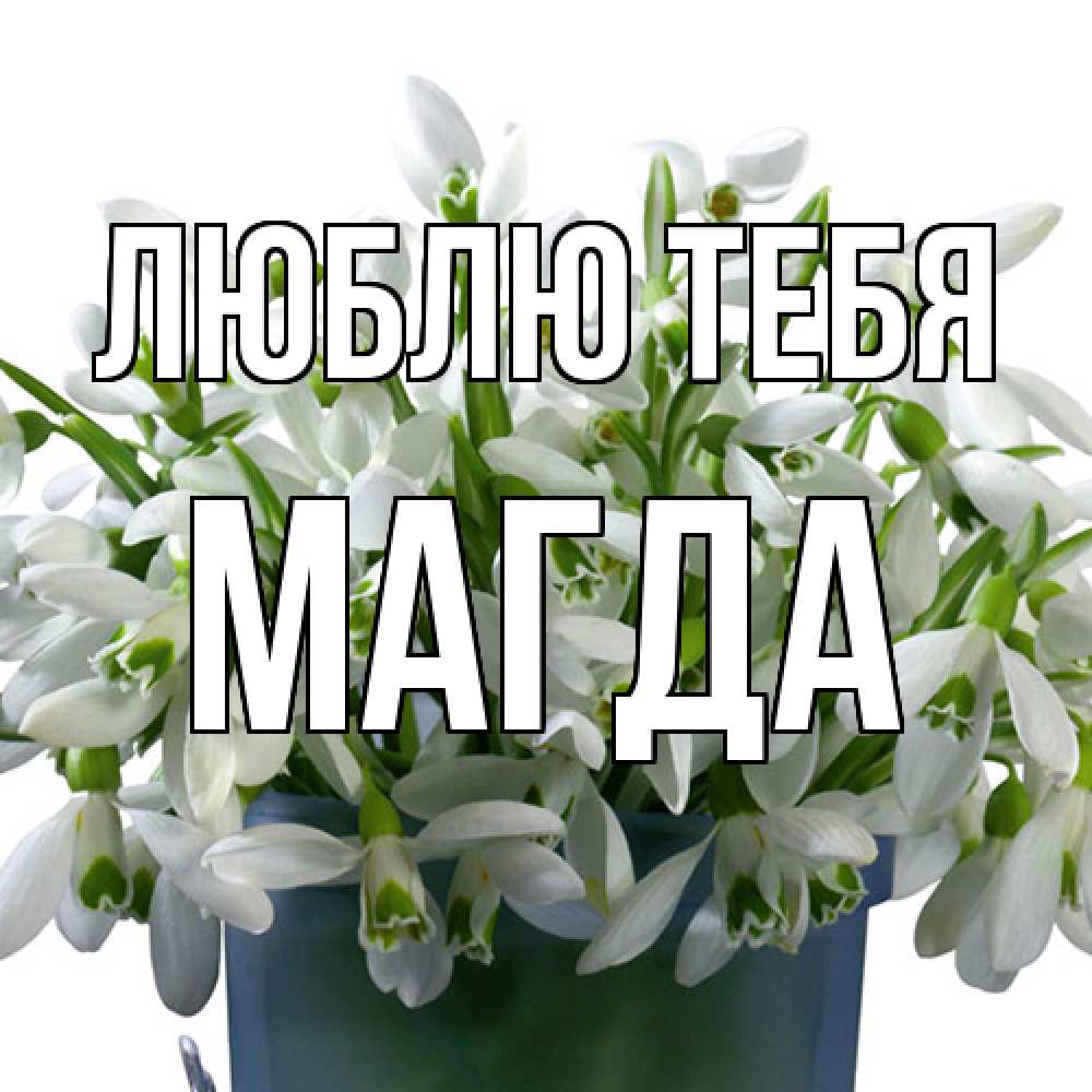 Открытка на каждый день с именем, Магда Люблю тебя цветы к международному женскому дню Прикольная открытка с пожеланием онлайн скачать бесплатно 