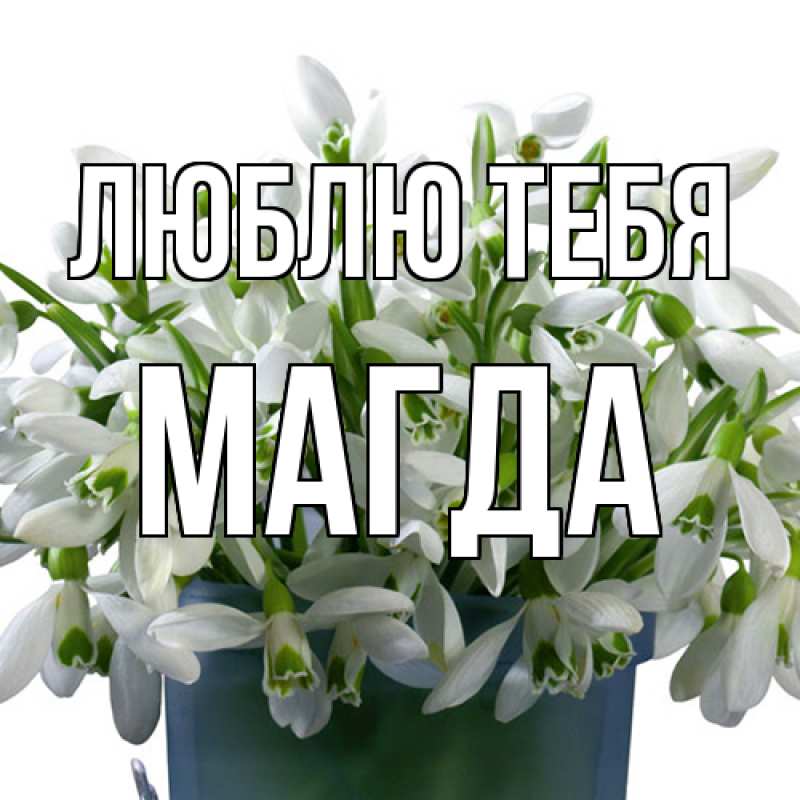 Картинка Люблю тебя, Магда