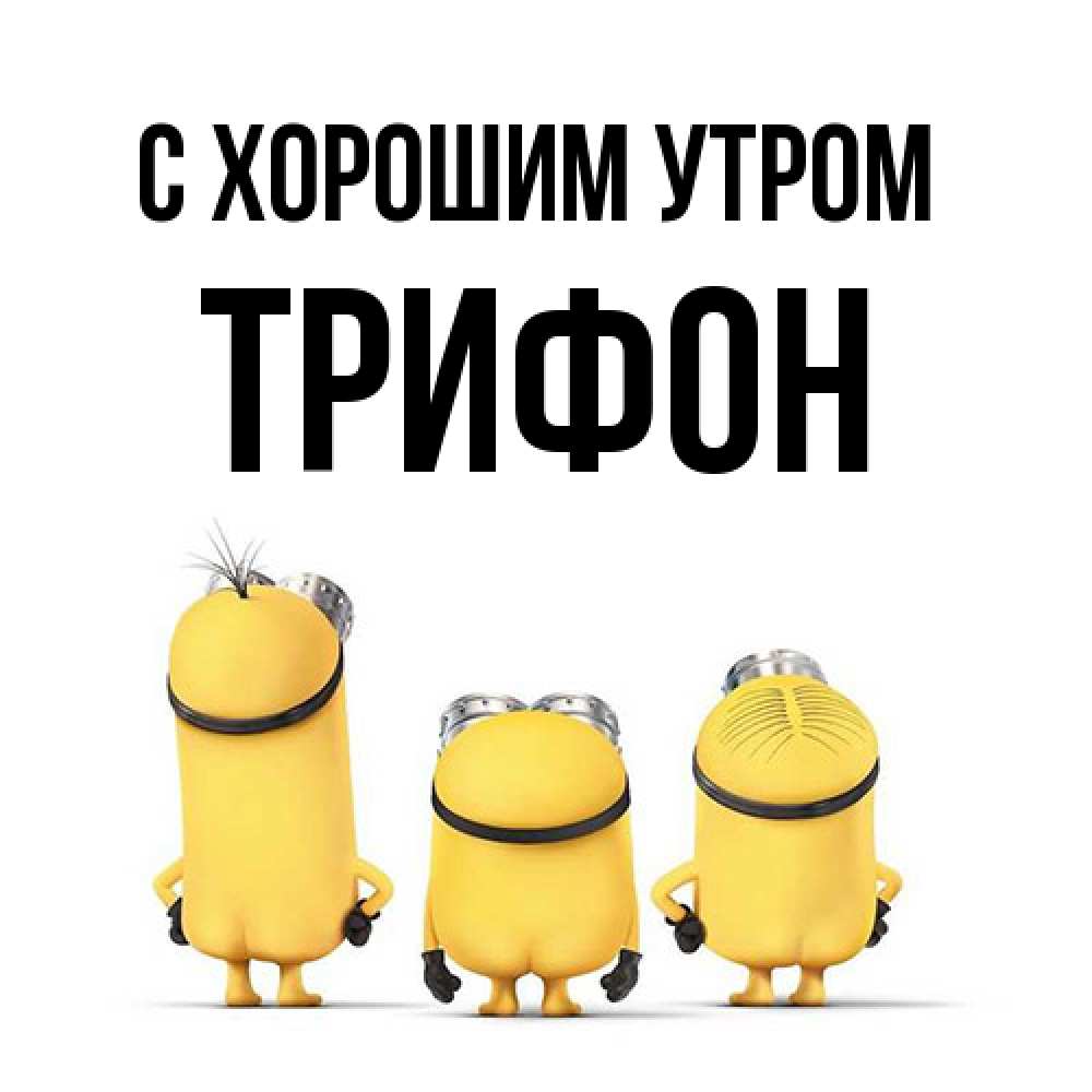 Открытка на каждый день с именем, Трифон С хорошим утром подписать открытку онлайн бесплатно Прикольная открытка с пожеланием онлайн скачать бесплатно 