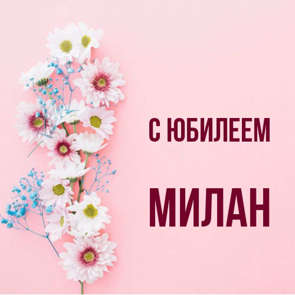 Открытка на каждый день с именем, Милан C юбилеем Родная моя с днем рождения тебя картинка с цветами белыми и голубыми Прикольная открытка с пожеланием онлайн скачать бесплатно 