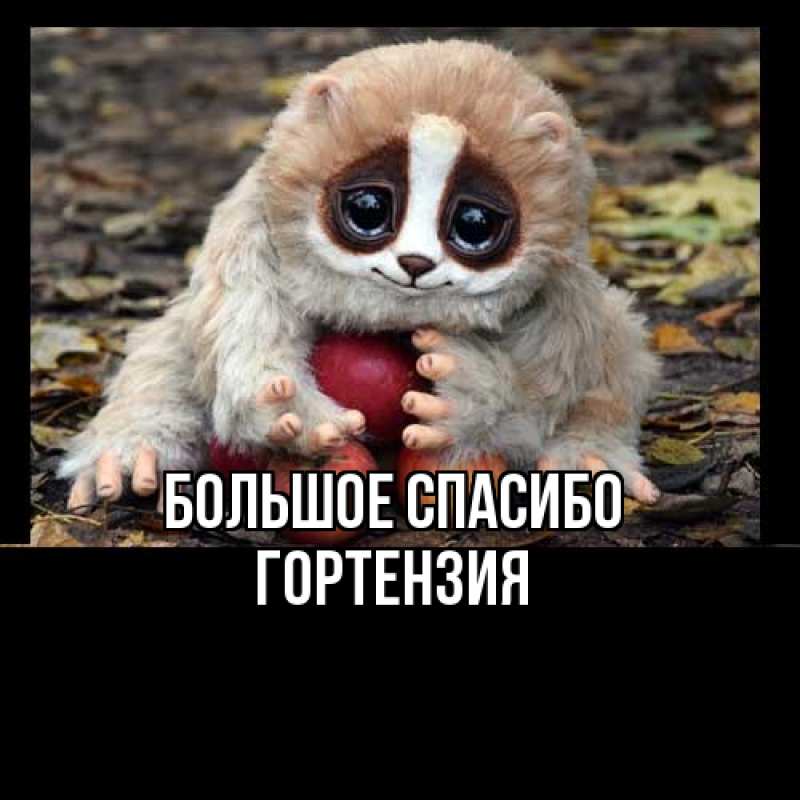 Открытка с именем, Гортензия, Большое спасибо