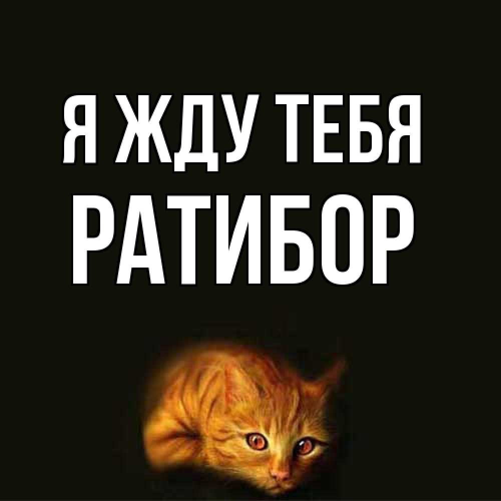 Открытка на каждый день с именем, Ратибор Я жду тебя рыжий Прикольная открытка с пожеланием онлайн скачать бесплатно 