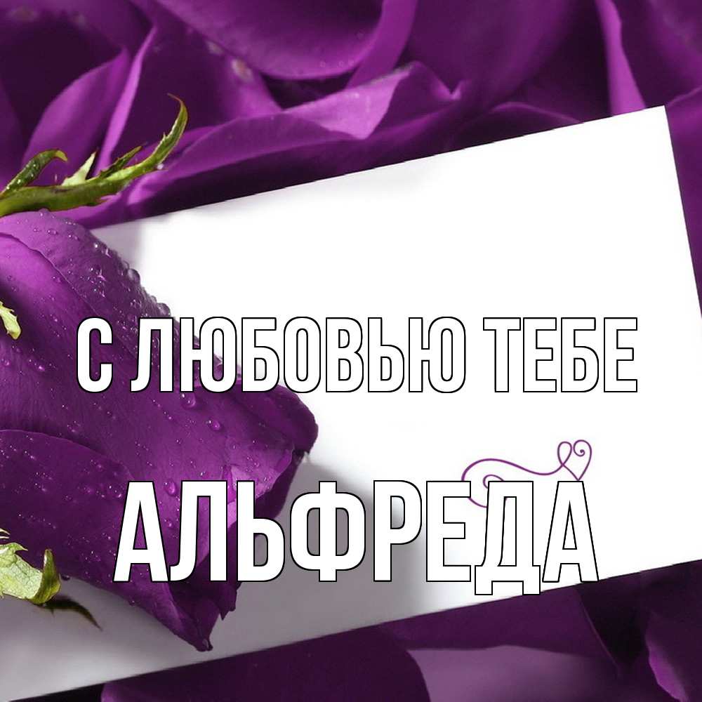 Открытка на каждый день с именем, Альфреда С любовью тебе роза Прикольная открытка с пожеланием онлайн скачать бесплатно 