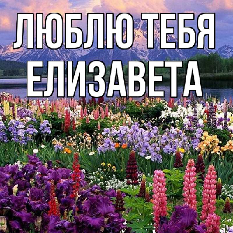 Открытка с именем, Елизавета, Люблю тебя